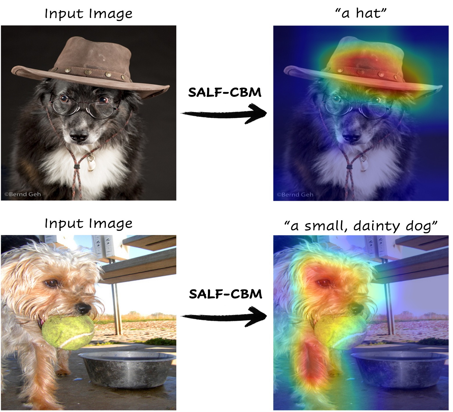 Figure from Show and Tell: Visually Explainable Deep Neural Nets via Spatially-Aware Concept Bottleneck Models‏